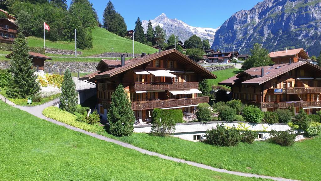 Apartment Chamonix - Griwa Rent Ag Γκρίντελβαλντ Εξωτερικό φωτογραφία