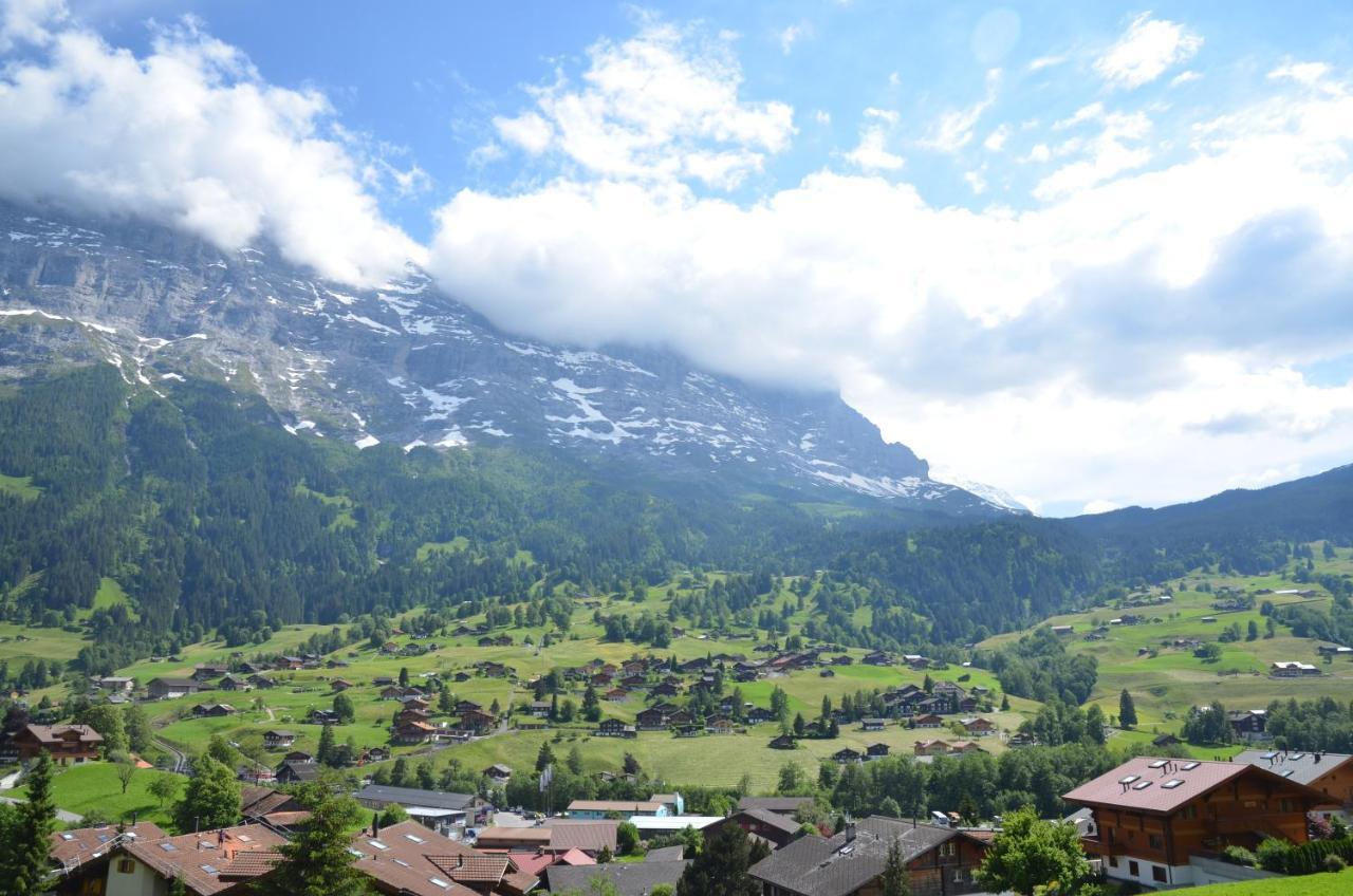 Apartment Chamonix - Griwa Rent Ag Γκρίντελβαλντ Εξωτερικό φωτογραφία